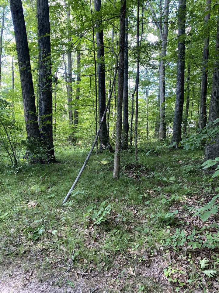 https://bt-photos.global.ssl.fastly.net/swmich/1280_boomver_1_26013641-2.jpg