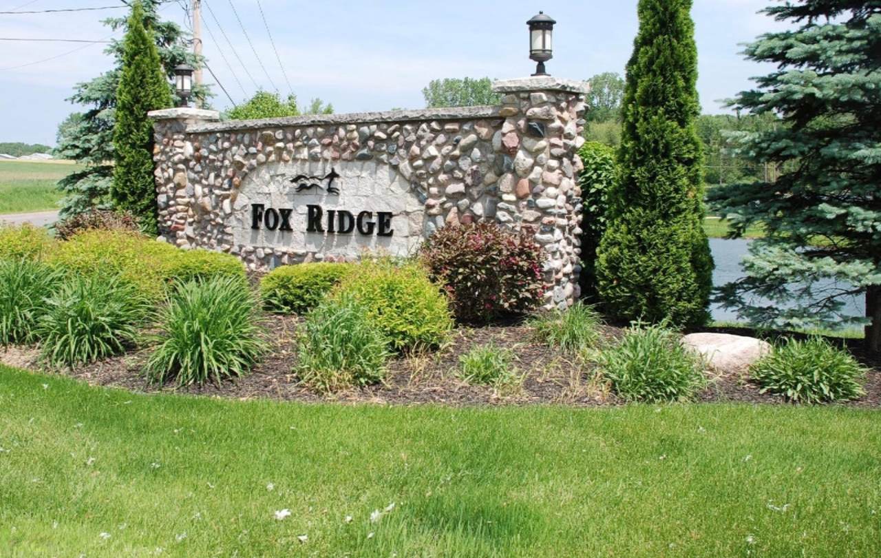 1764 Fox Ridge Trail - Photo 1
