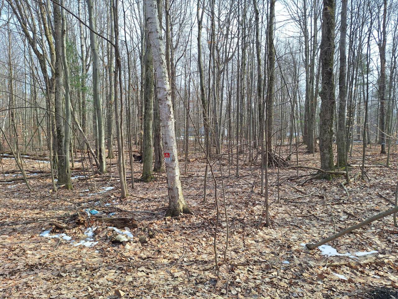 V/L Birch Street - Photo 1