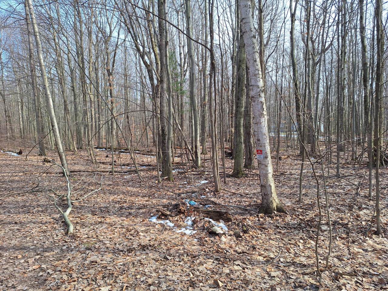 https://bt-photos.global.ssl.fastly.net/swmich/1280_boomver_1_26013680-2.jpg
