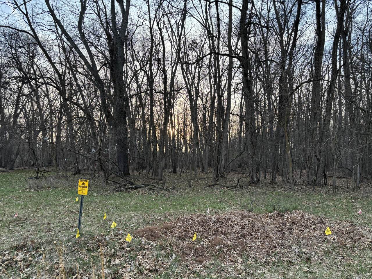 11560 Rutan Circle - Photo 1