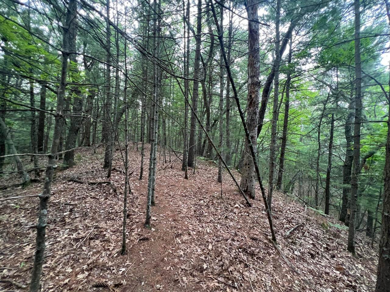 https://bt-photos.global.ssl.fastly.net/swmich/1280_boomver_1_26013789-2.jpg
