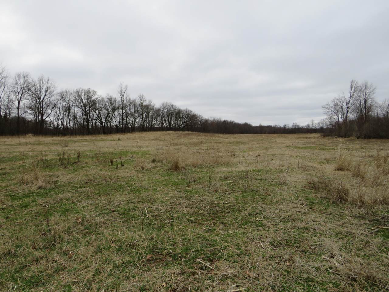 https://bt-photos.global.ssl.fastly.net/swmich/1280_boomver_1_26013952-2.jpg