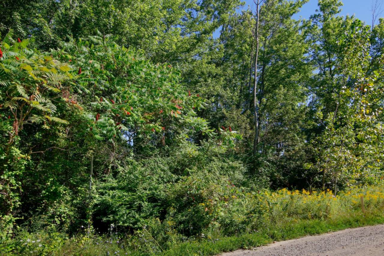 https://bt-photos.global.ssl.fastly.net/swmich/1280_boomver_1_26014073-2.jpg