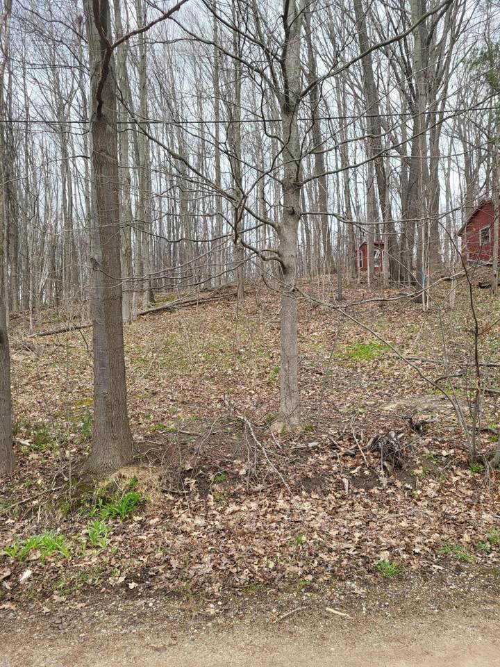 https://bt-photos.global.ssl.fastly.net/swmich/1280_boomver_1_26014158-2.jpg
