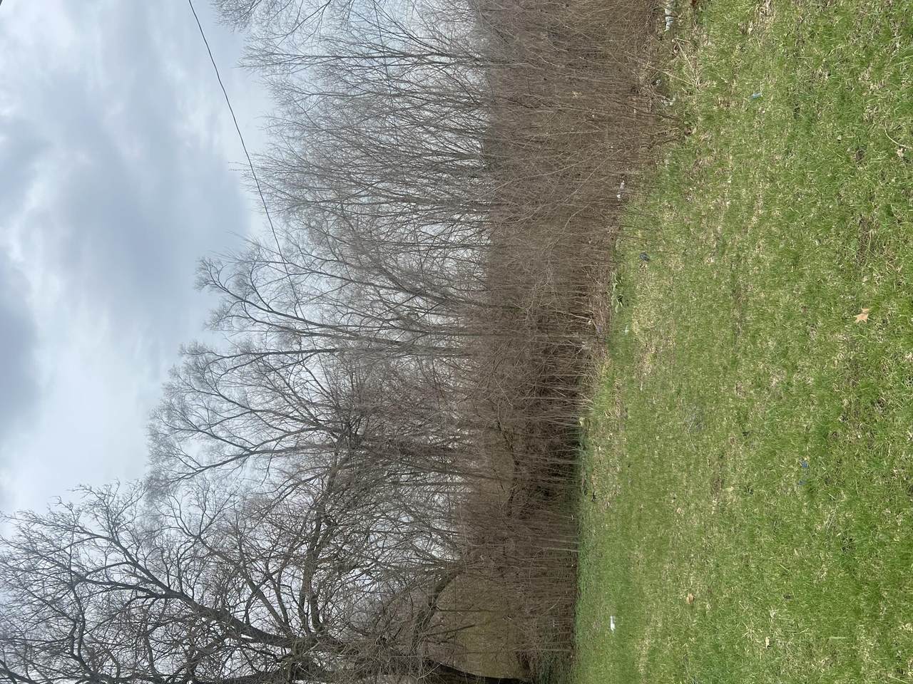 1096 Euclid Avenue - Photo 1