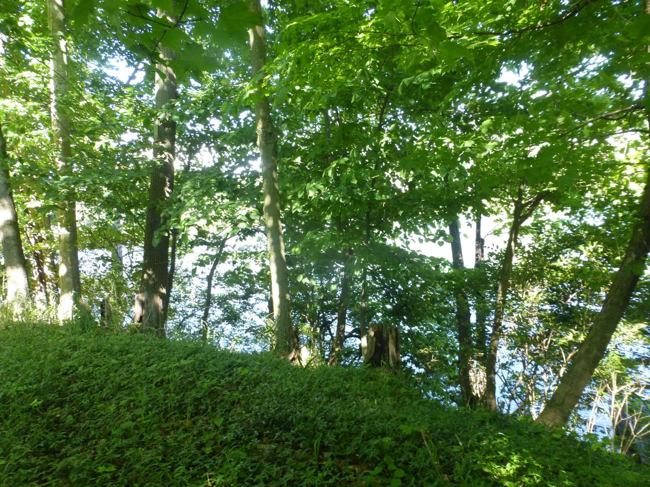 https://bt-photos.global.ssl.fastly.net/swmich/1280_boomver_1_26014461-2.jpg