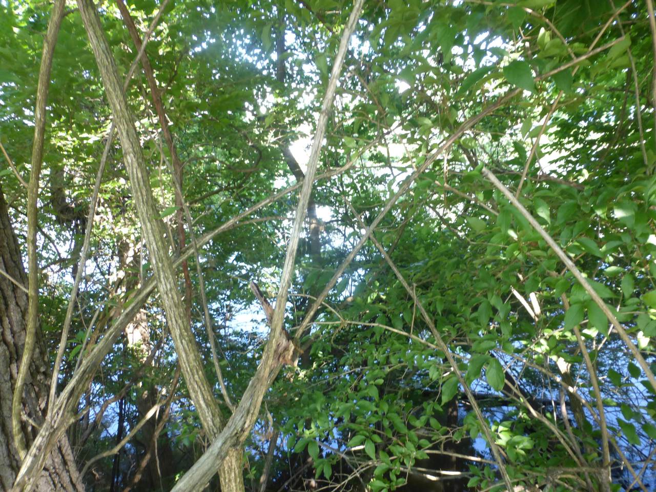 https://bt-photos.global.ssl.fastly.net/swmich/1280_boomver_1_26014461-2.jpg