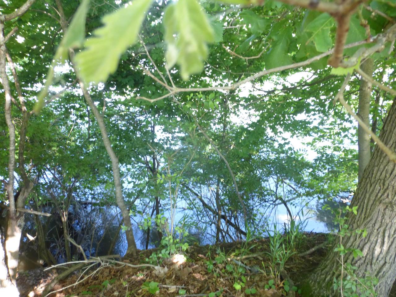 https://bt-photos.global.ssl.fastly.net/swmich/1280_boomver_1_26014461-2.jpg