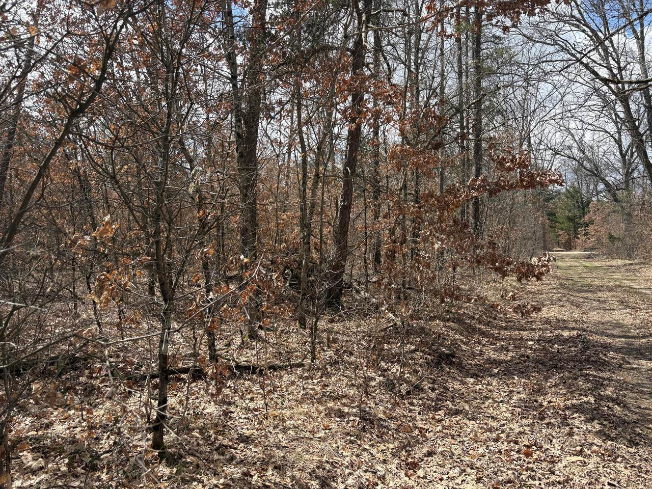 vl Lexington - Photo 1