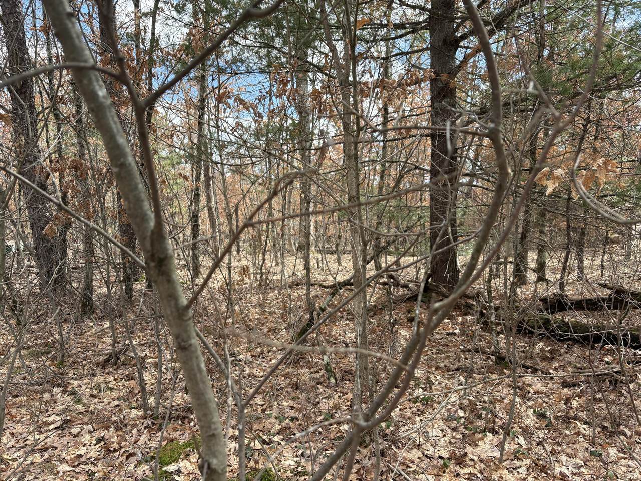 https://bt-photos.global.ssl.fastly.net/swmich/1280_boomver_1_26014543-2.jpg