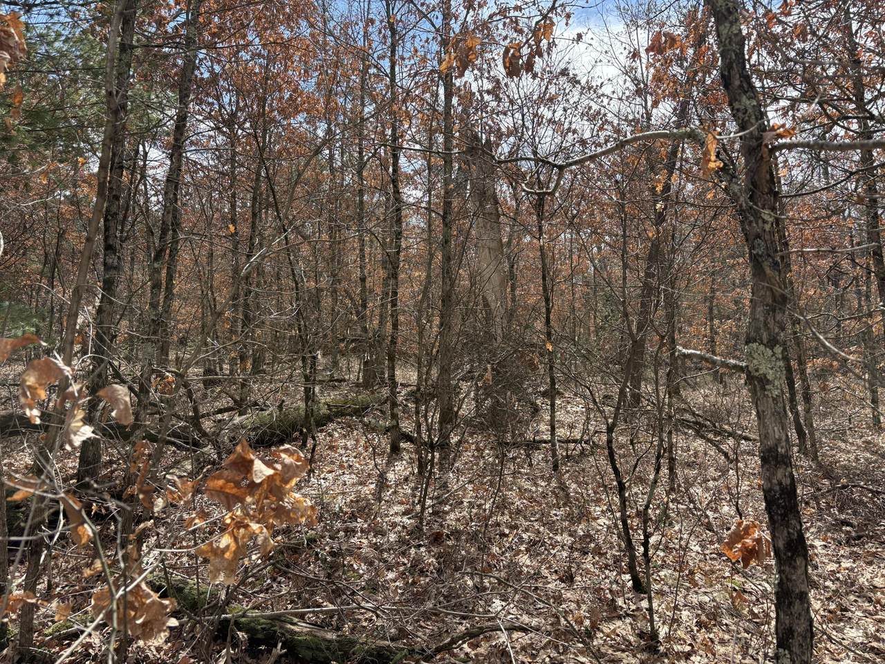 https://bt-photos.global.ssl.fastly.net/swmich/1280_boomver_1_26014543-2.jpg