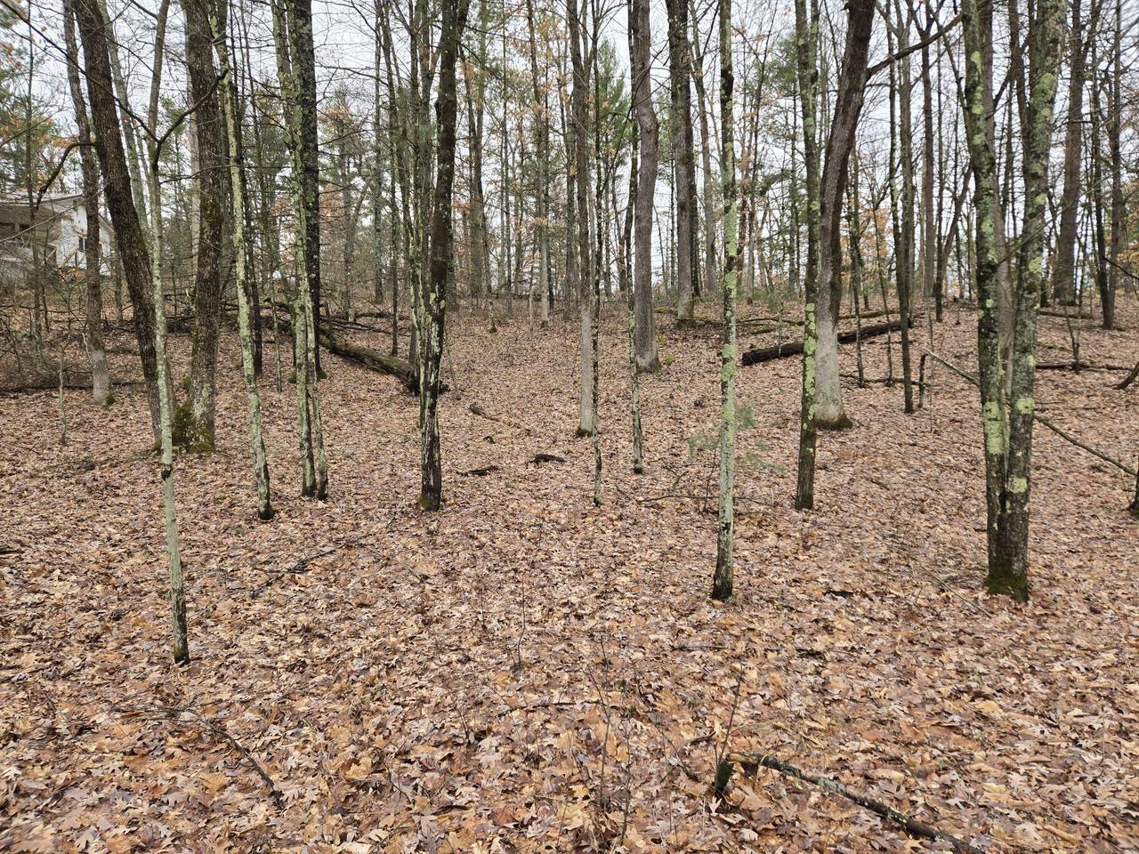 https://bt-photos.global.ssl.fastly.net/swmich/1280_boomver_1_26014740-2.jpg