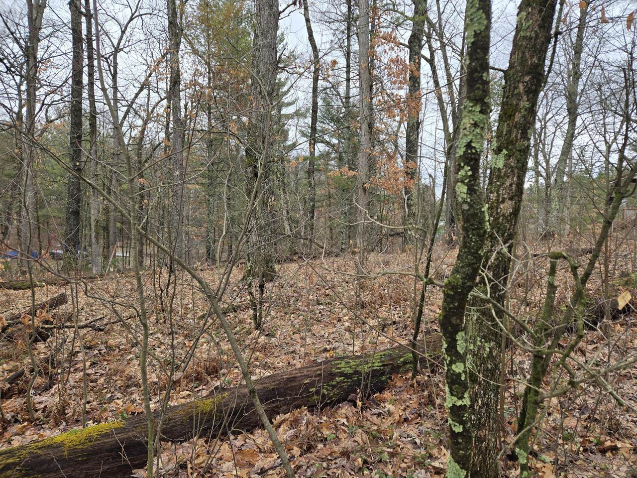 https://bt-photos.global.ssl.fastly.net/swmich/1280_boomver_1_26014740-2.jpg