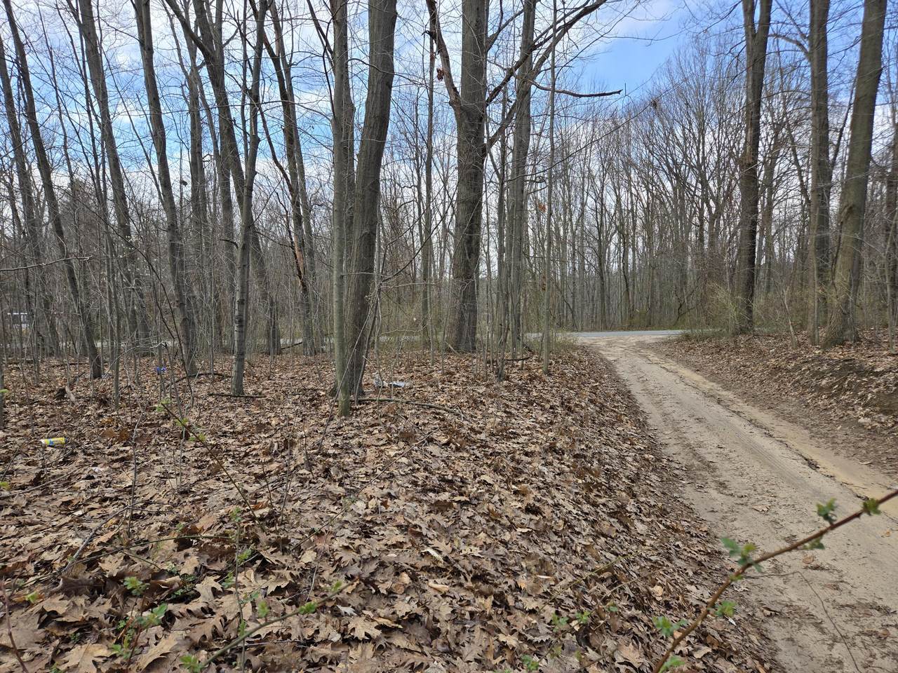 VL 8th Avenue - Photo 1
