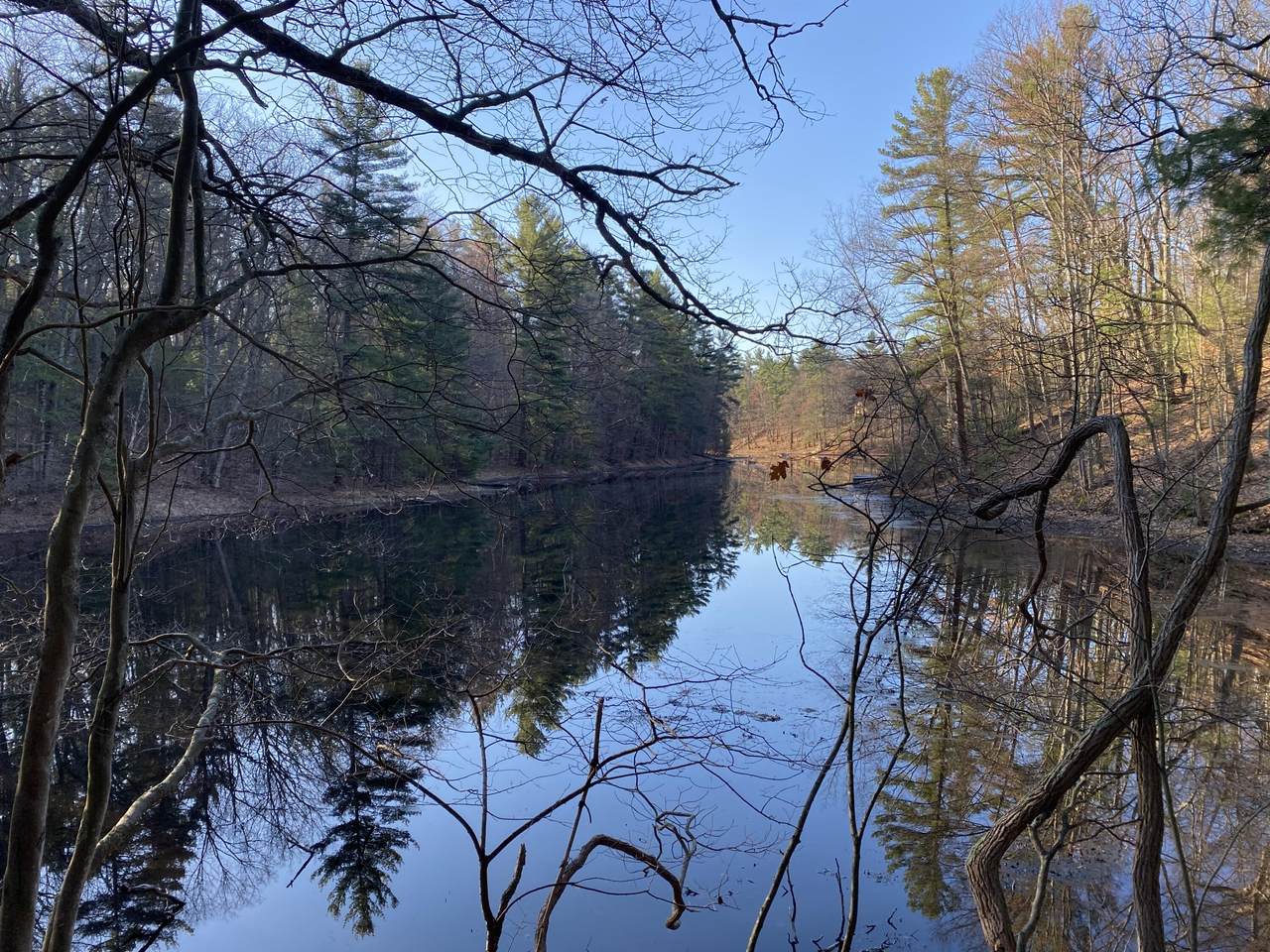 VL Mill Pond Trail - Photo 1
