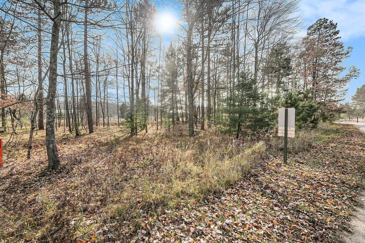 12215 Lila Court - Photo 1