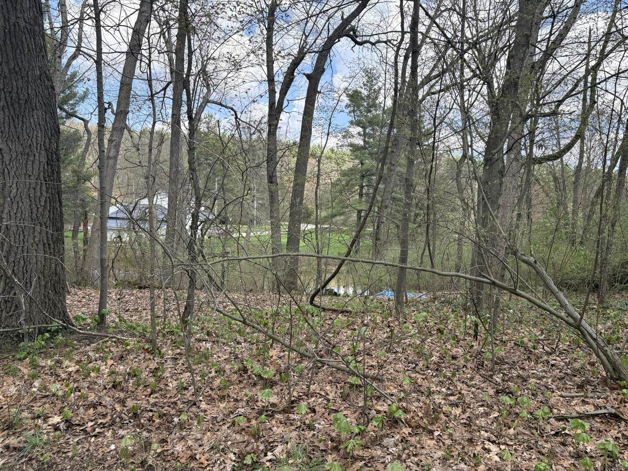 8091 Poplar Drive - Photo 1