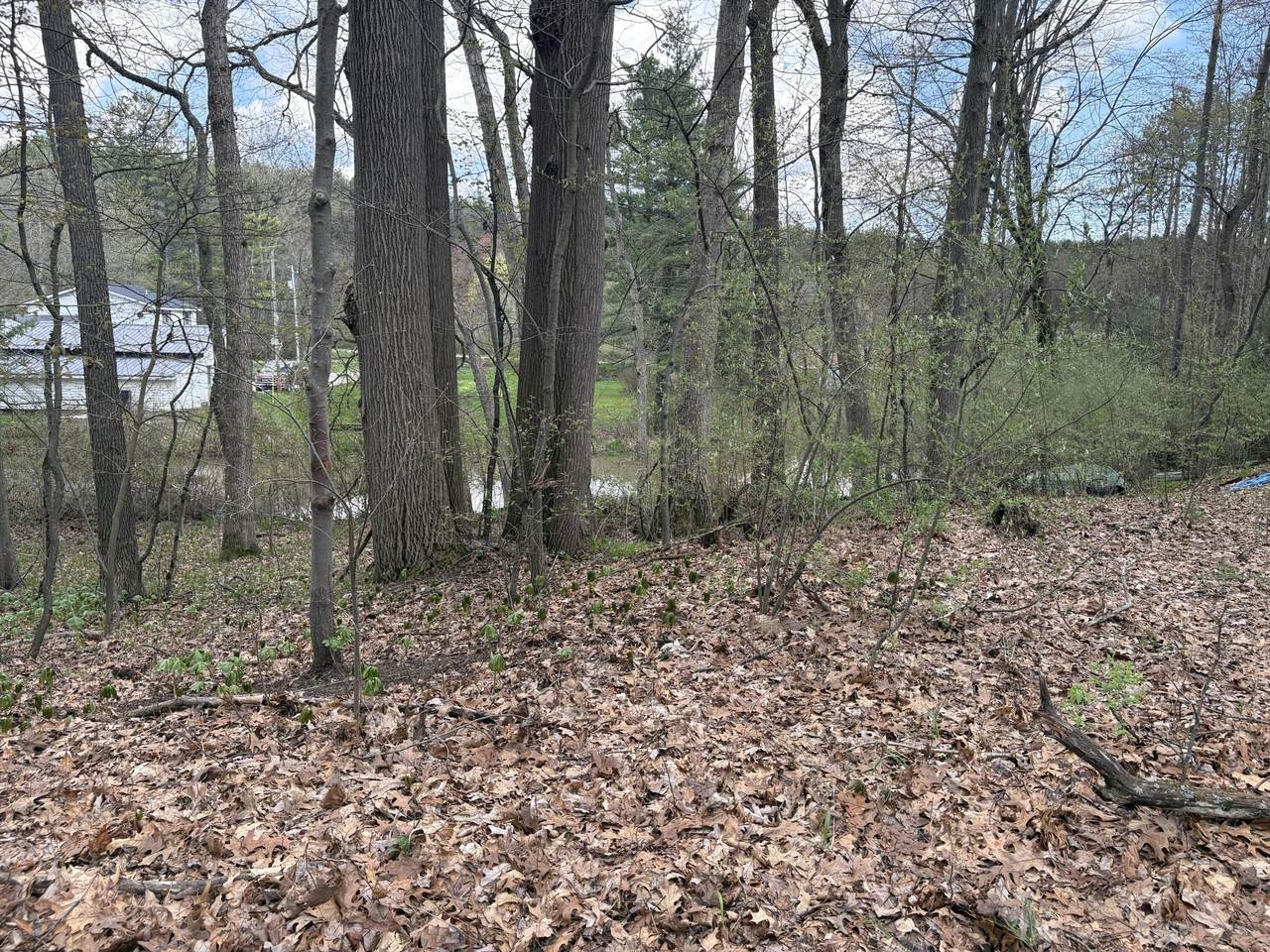 https://bt-photos.global.ssl.fastly.net/swmich/1280_boomver_1_26016080-2.jpg