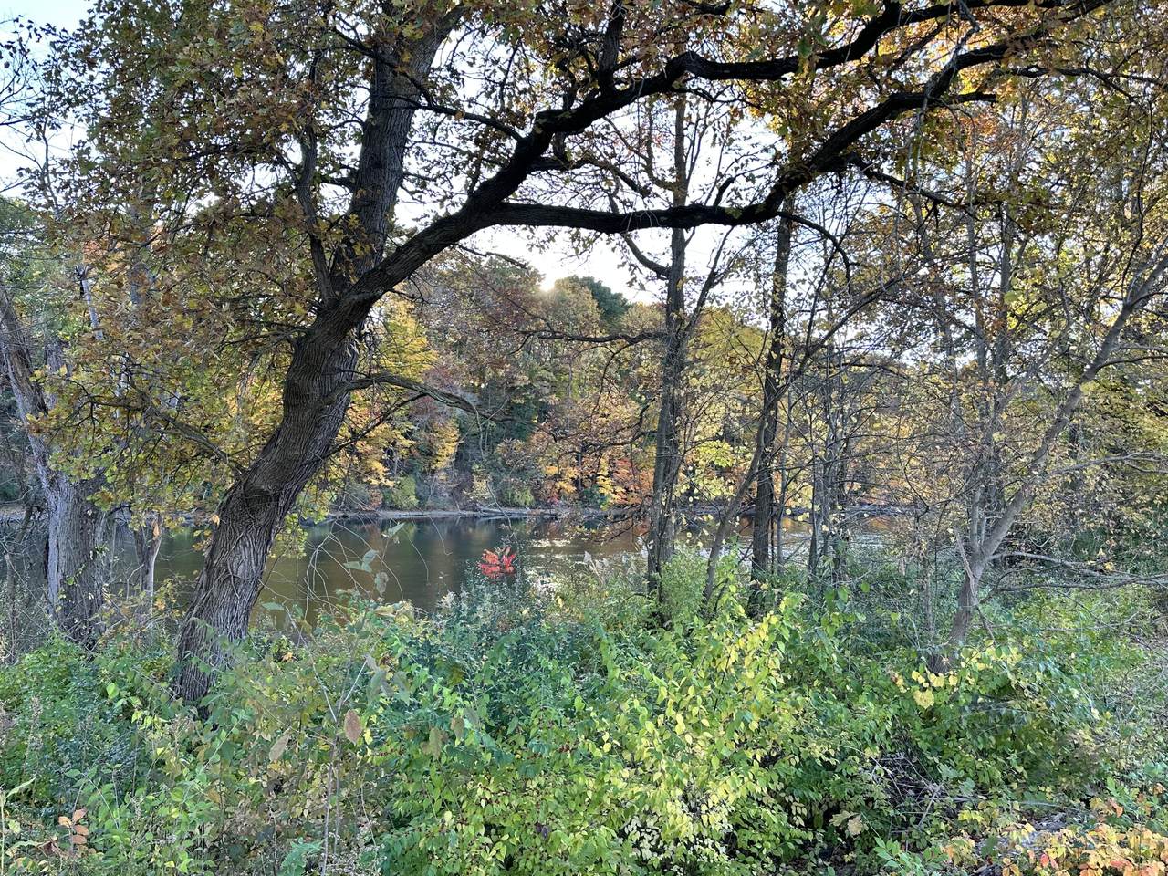 https://bt-photos.global.ssl.fastly.net/swmich/1280_boomver_1_26016107-2.jpg