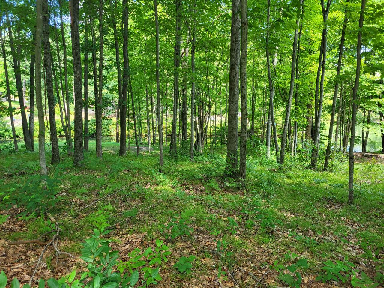https://bt-photos.global.ssl.fastly.net/swmich/1280_boomver_1_26016305-2.jpg