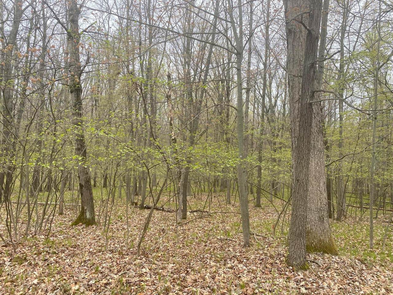 12090 Dubois Drive - Photo 1