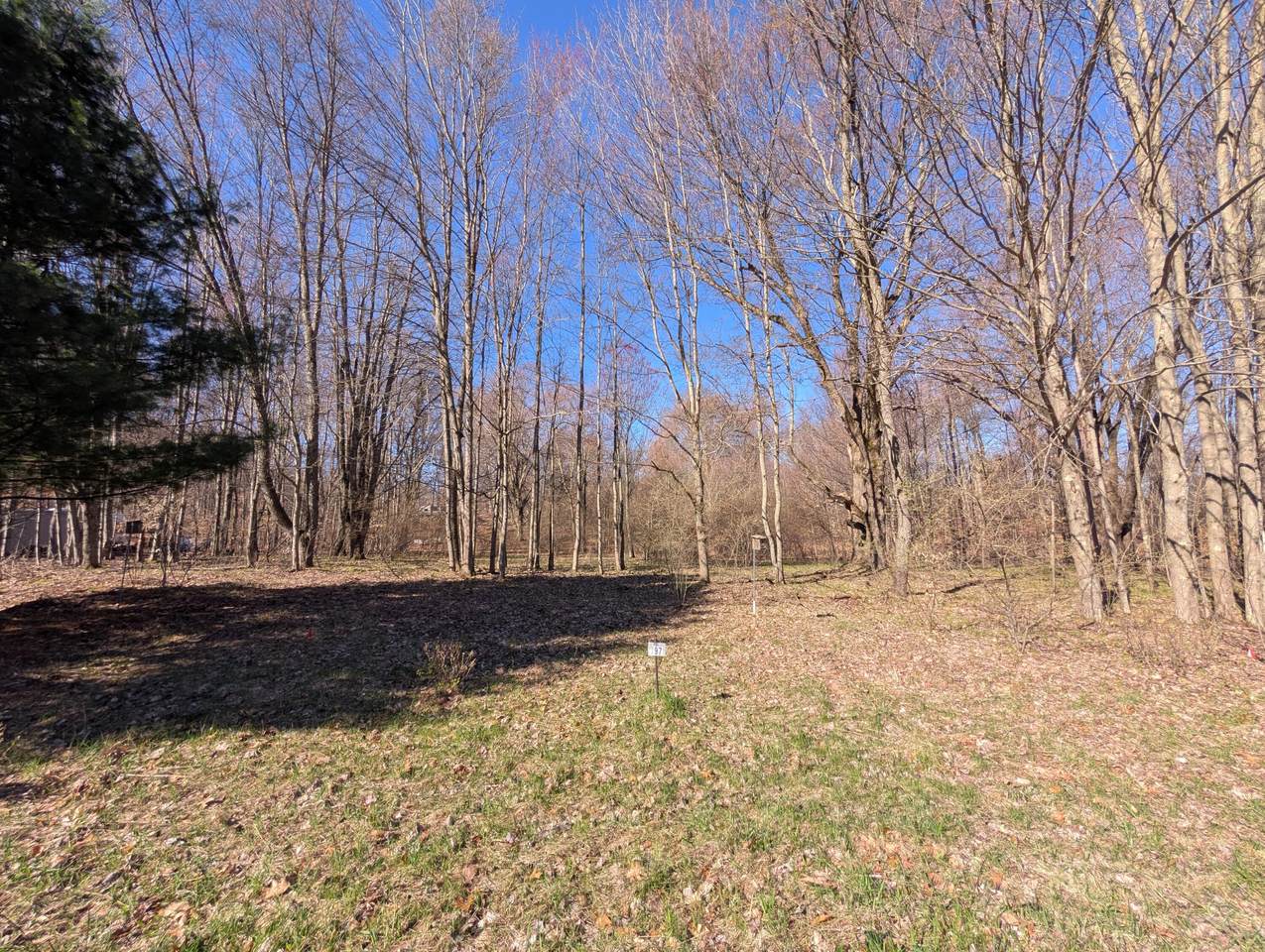 6465 Fox Den - Photo 1