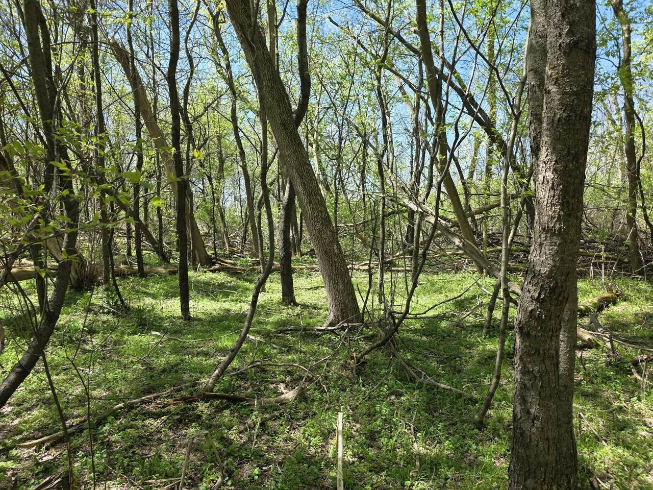 https://bt-photos.global.ssl.fastly.net/swmich/1280_boomver_1_26016722-2.jpg
