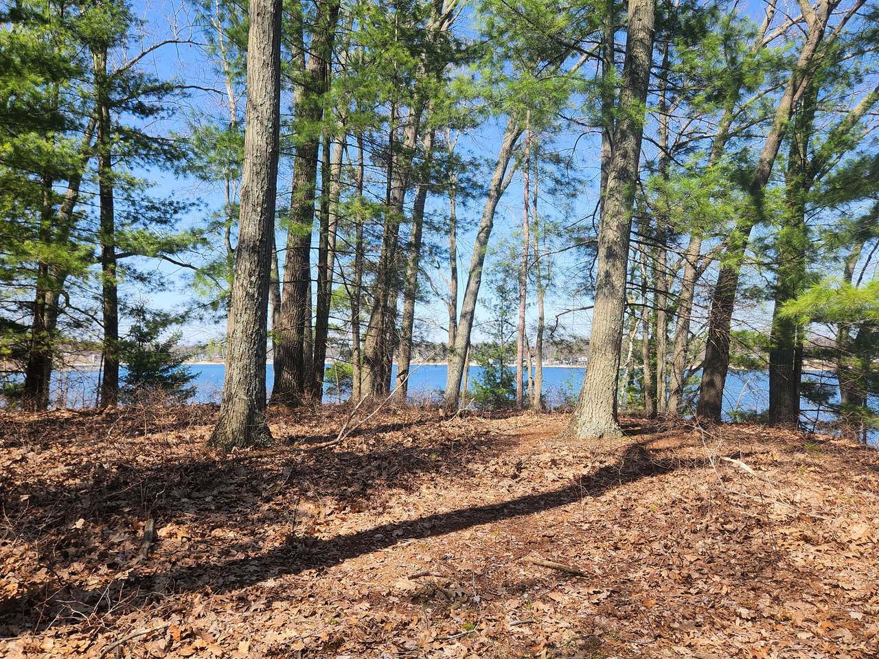 https://bt-photos.global.ssl.fastly.net/swmich/1280_boomver_1_26017030-2.jpg
