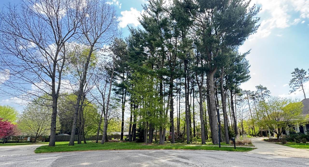 1912 Hidden Pines Trail - Photo 1