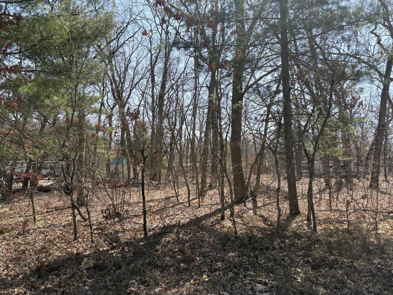  Chief Okemos Trail - Photo 1