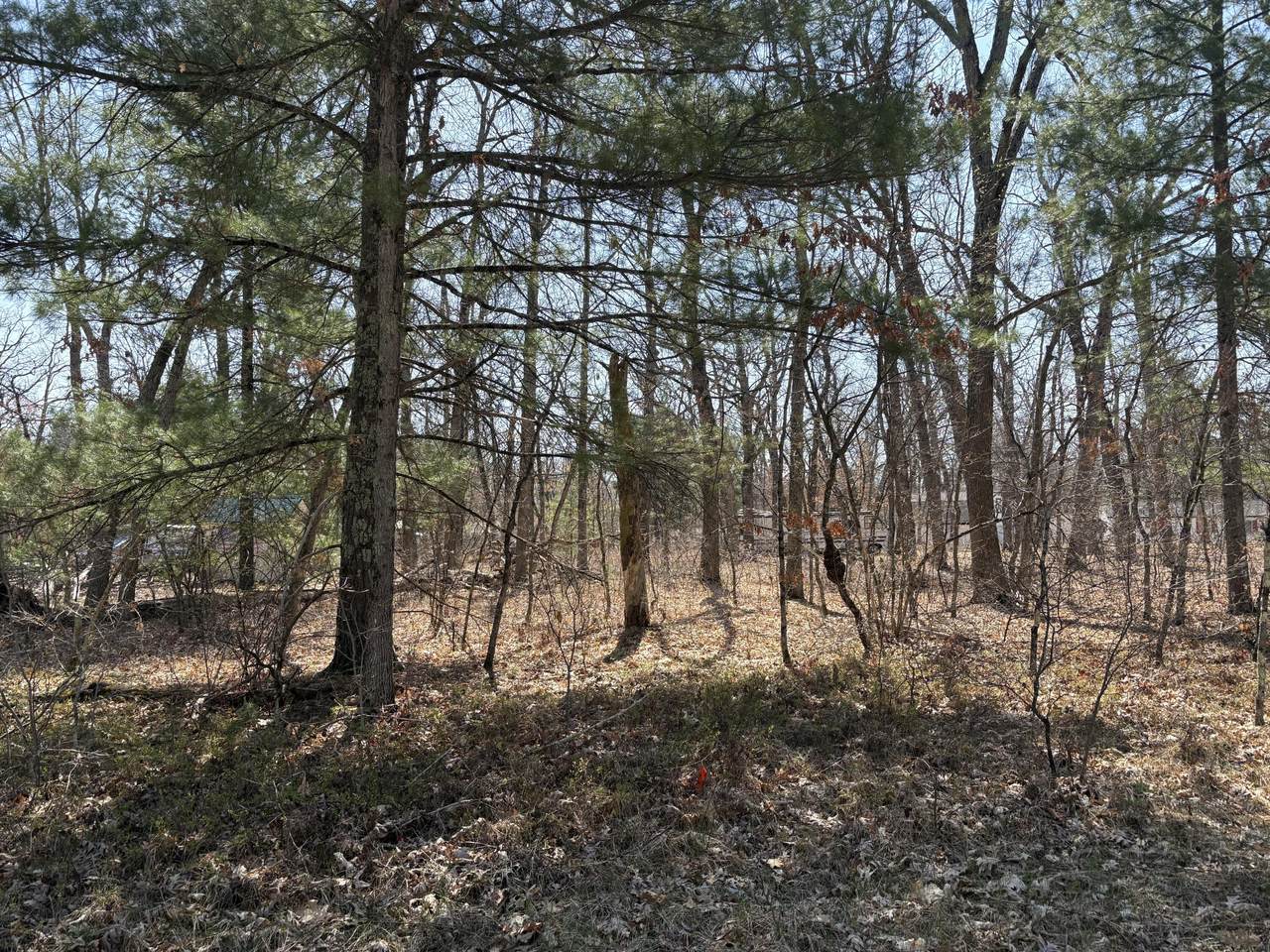 https://bt-photos.global.ssl.fastly.net/swmich/1280_boomver_1_26018408-2.jpg