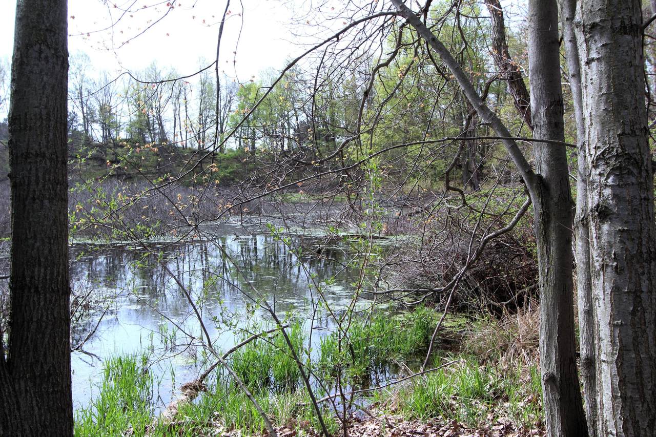 V/L Frost Road - Photo 1