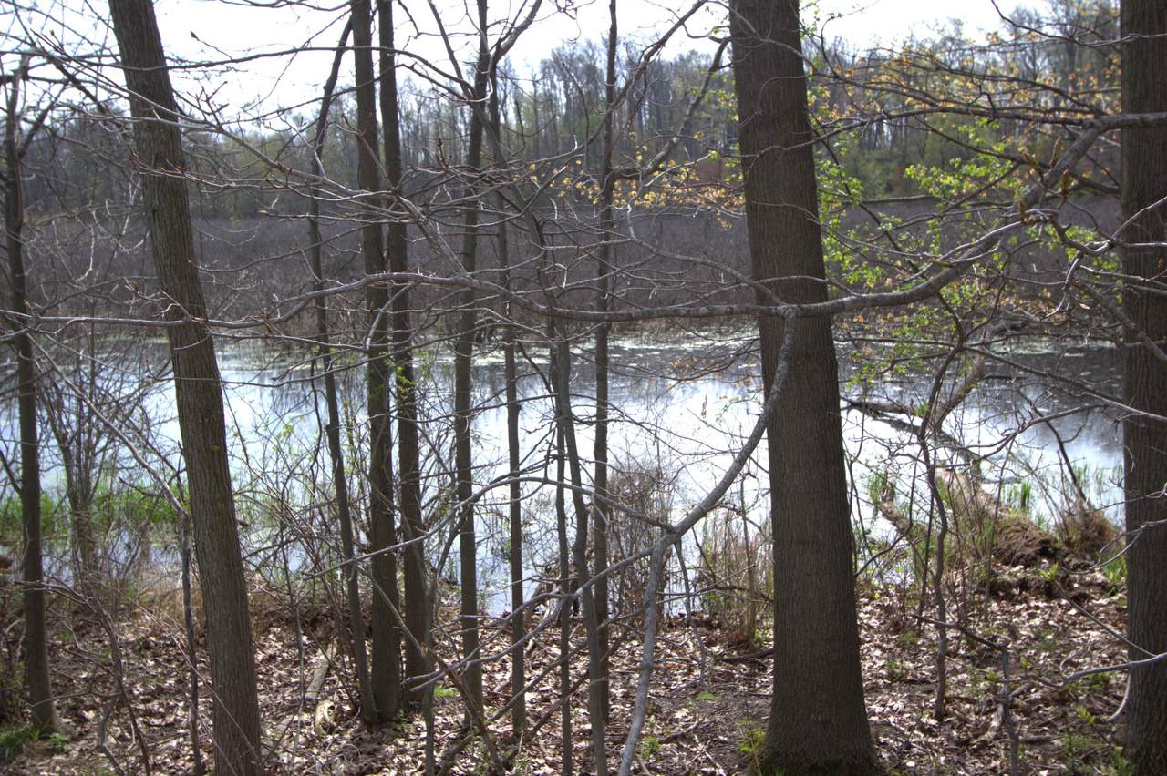 https://bt-photos.global.ssl.fastly.net/swmich/1280_boomver_1_26018819-2.jpg