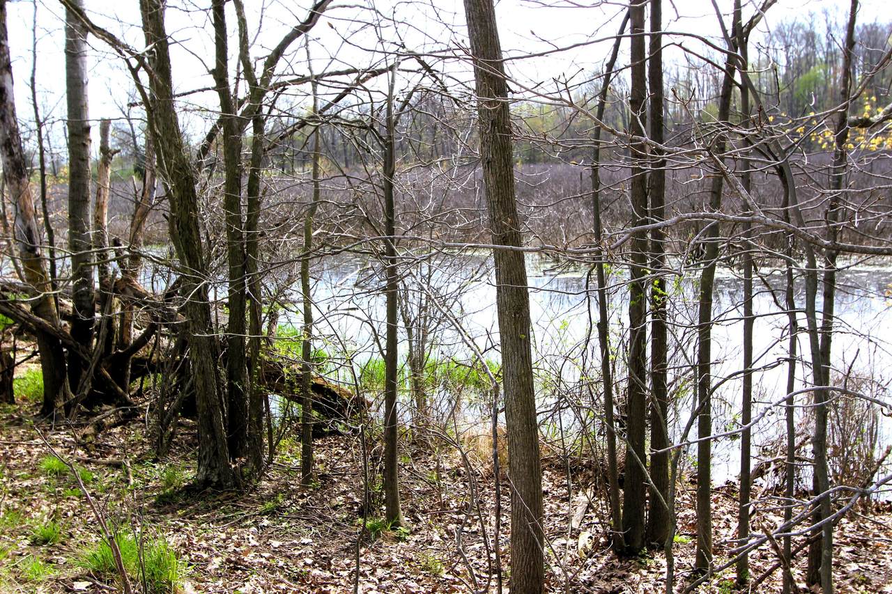 https://bt-photos.global.ssl.fastly.net/swmich/1280_boomver_1_26018819-2.jpg