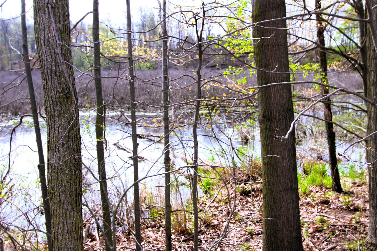 https://bt-photos.global.ssl.fastly.net/swmich/1280_boomver_1_26018819-2.jpg