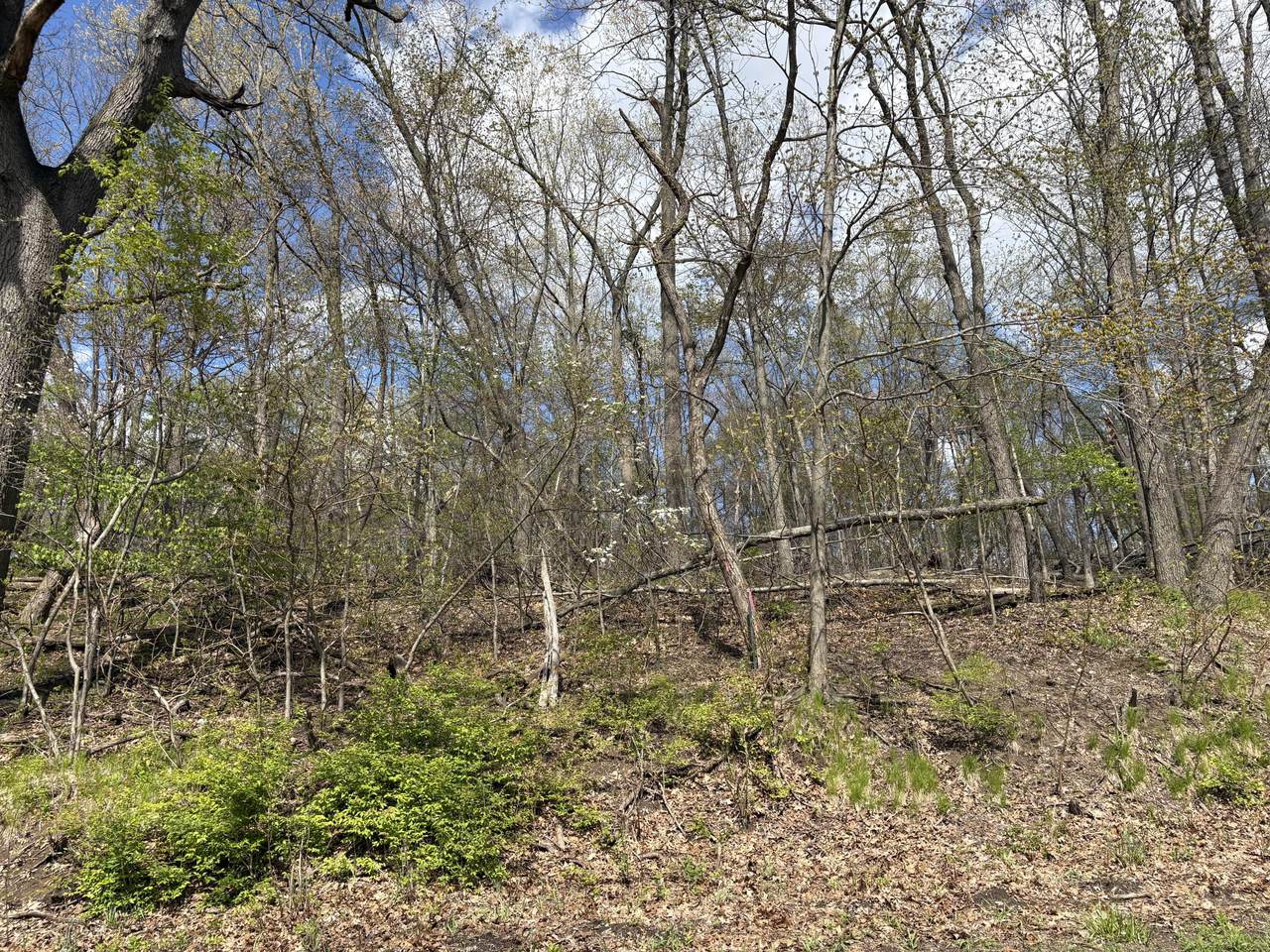 V/L Anderson Road - Photo 1