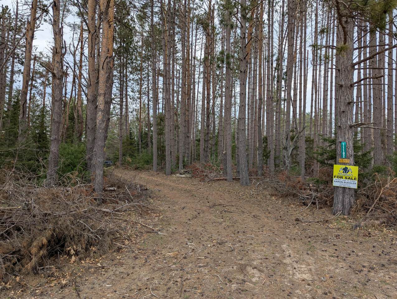 11102 M 32 - Photo 1