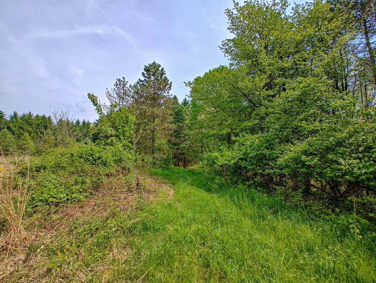 https://bt-photos.global.ssl.fastly.net/swmich/1280_boomver_1_26023824-2.jpg