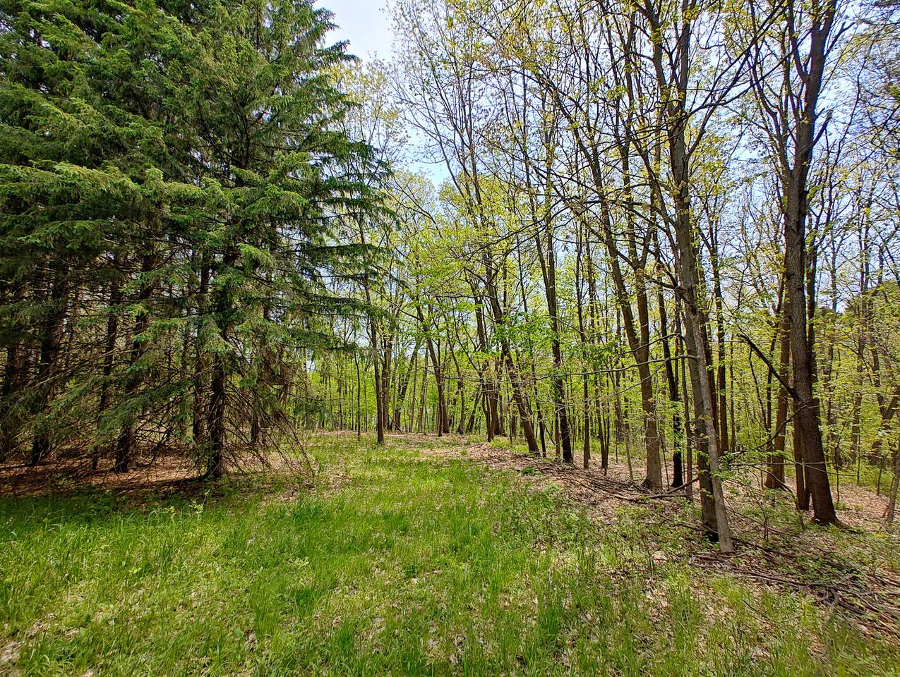 https://bt-photos.global.ssl.fastly.net/swmich/1280_boomver_1_26023824-2.jpg
