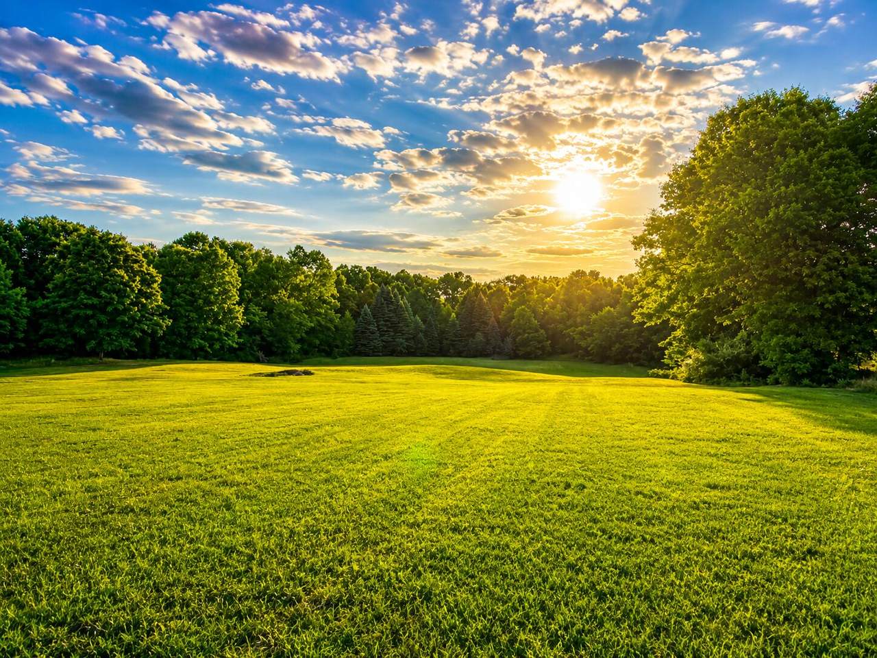 https://bt-photos.global.ssl.fastly.net/swmich/1280_boomver_2_26029143-2.jpg