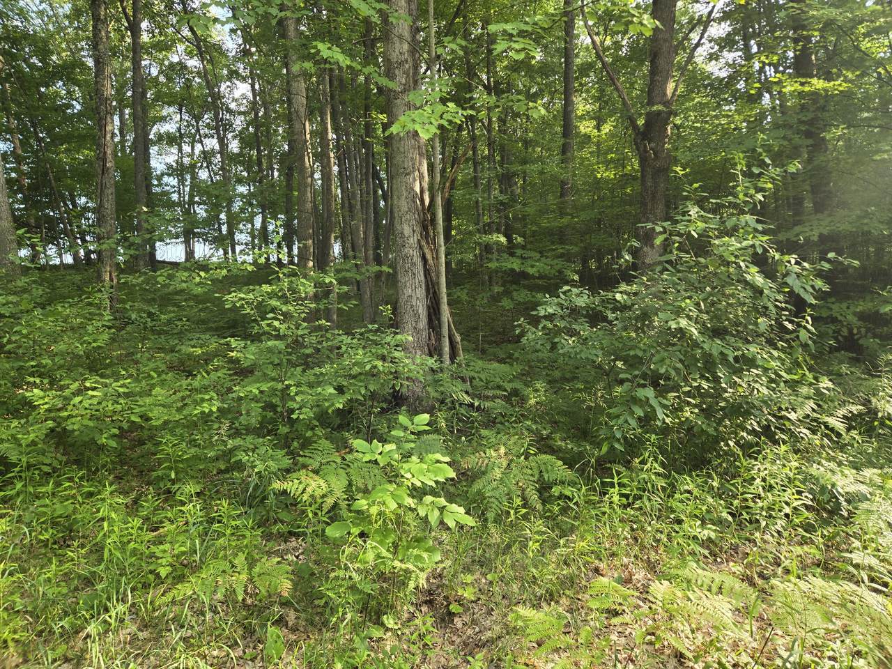 https://bt-photos.global.ssl.fastly.net/swmich/1280_boomver_1_26035653-2.jpg