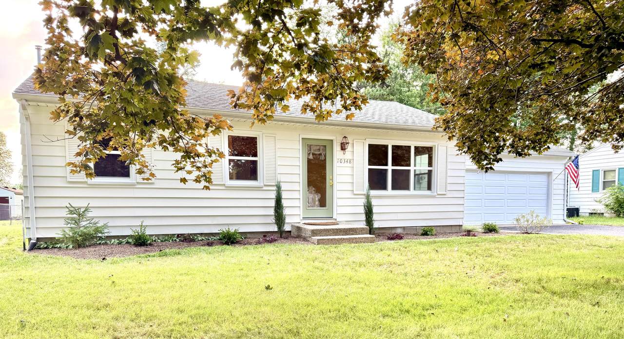 10348 Dewberry Street - Photo 1