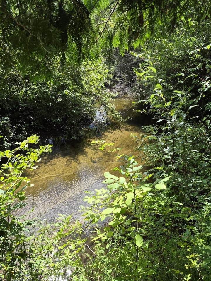 https://bt-photos.global.ssl.fastly.net/swmich/1280_boomver_1_26043677-2.jpg