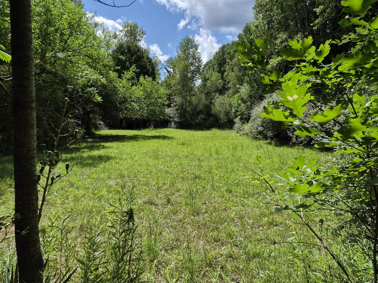 https://bt-photos.global.ssl.fastly.net/swmich/1280_boomver_1_26043677-2.jpg