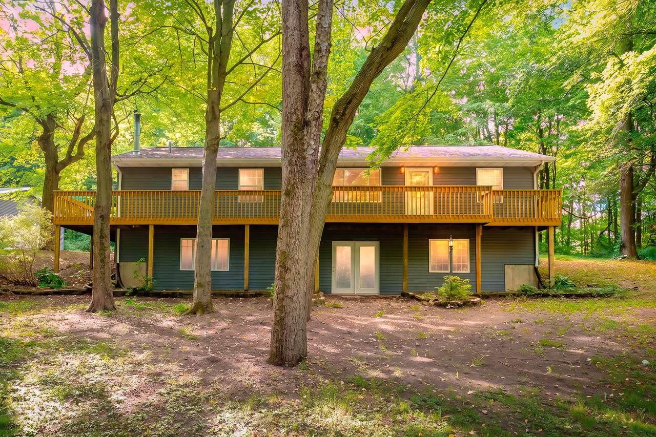11175 Enzian Road - Photo 1