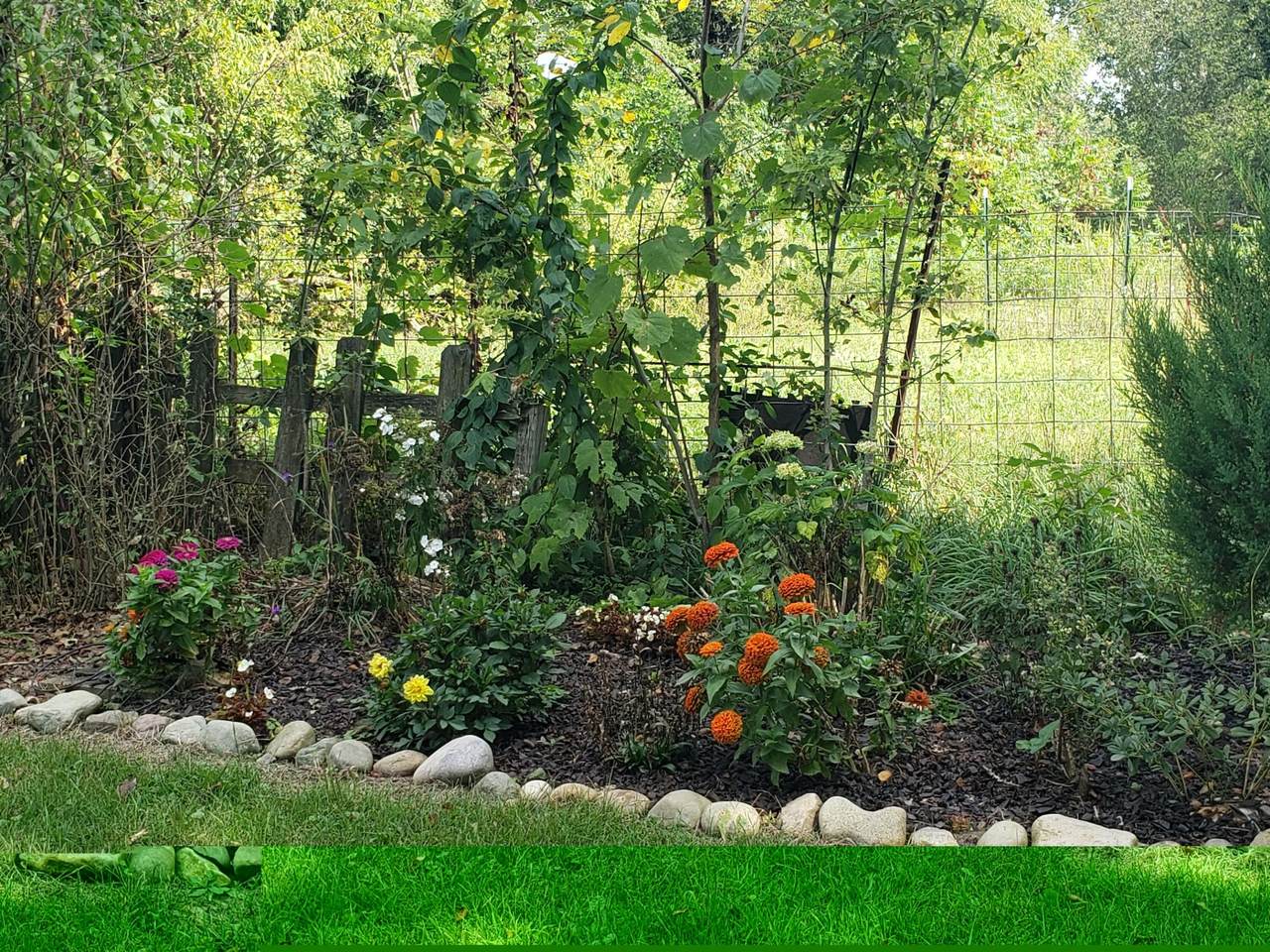https://bt-photos.global.ssl.fastly.net/swmich/1280_boomver_1_26047279-2.jpg