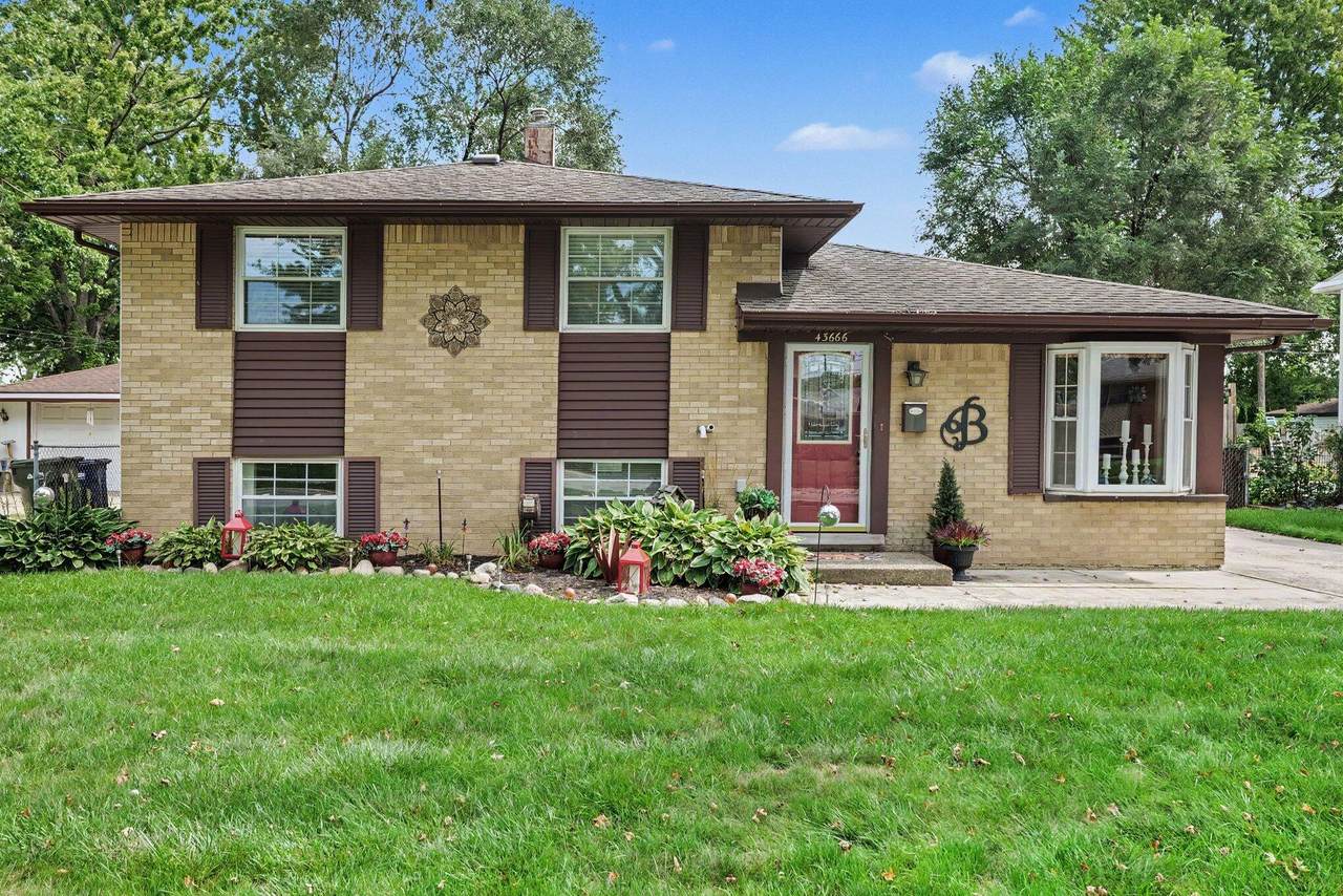 43666 Deborah Drive - Photo 1
