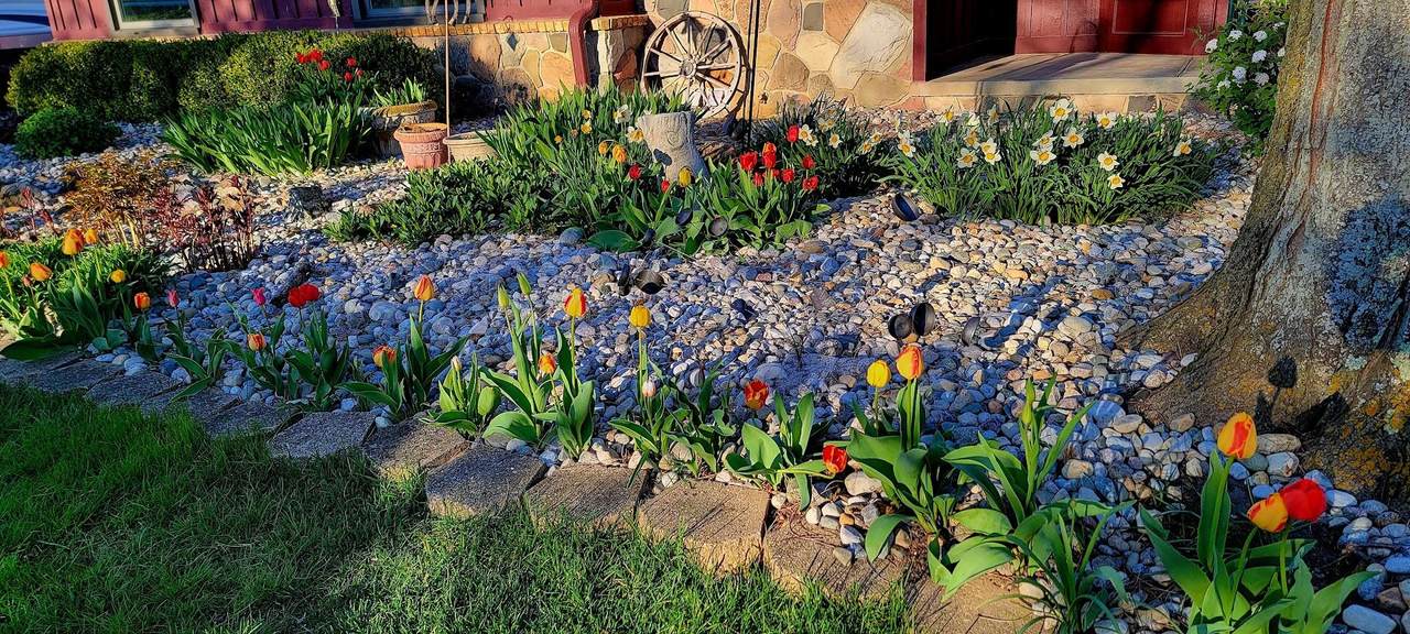 https://bt-photos.global.ssl.fastly.net/swmich/1280_boomver_1_26050169-2.jpg