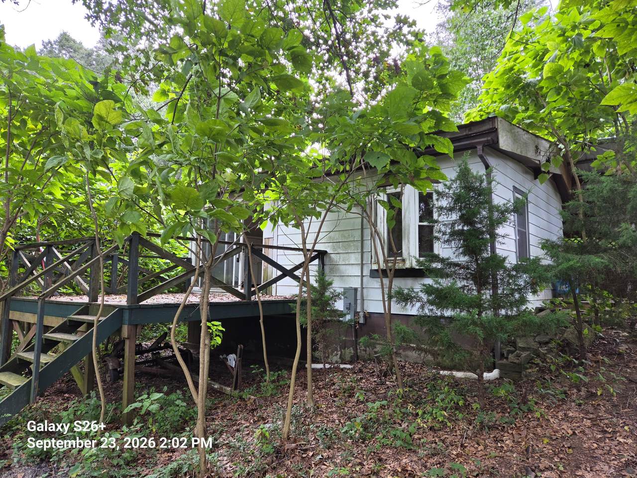 24072 Shurte Street - Photo 1